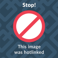 ChatGPT Image 23 يونيو 2026، 05_23_01 م